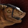 Princepsaurus